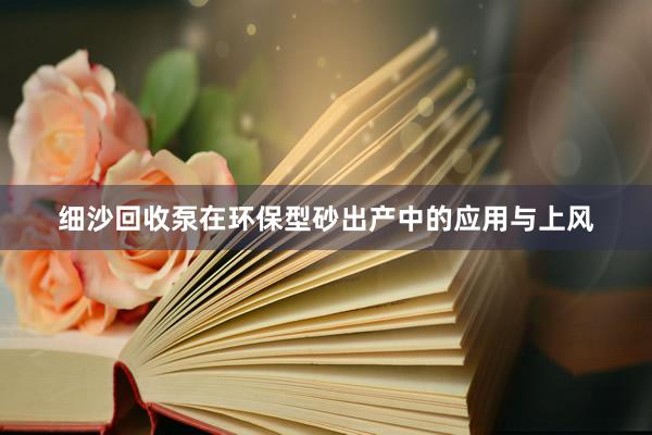 细沙回收泵在环保型砂出产中的应用与上风