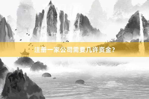 注册一家公司需要几许资金？