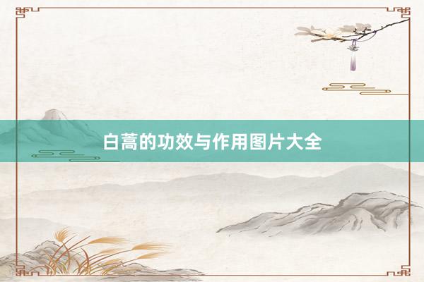 白蒿的功效与作用图片大全