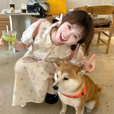 拳的较量