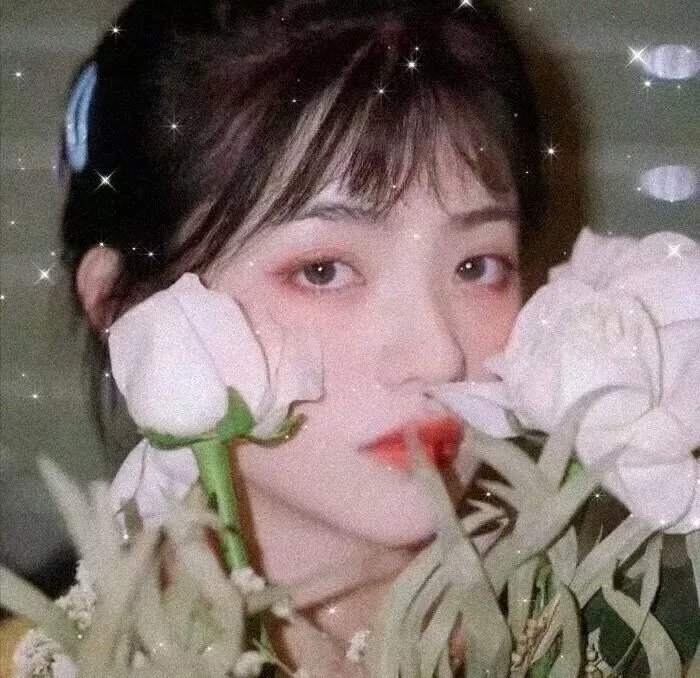 可惜不是你